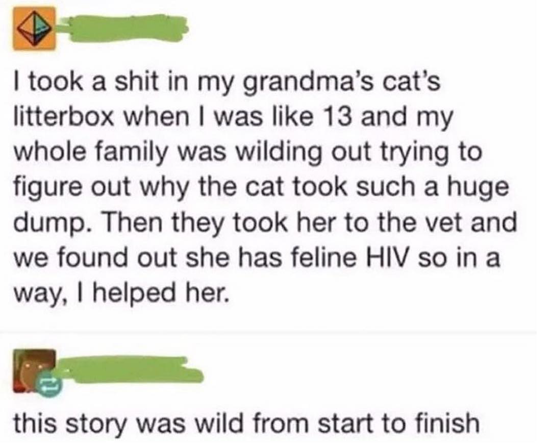 vy took a shit in my grandmas cats litterbox when was like 13 and my whole family was wilding out trying to figure out why the cat took such a huge dump Then they took her to the vet and we found out she has feline HIV so in a way helped her BB e this story was wild from start to finish