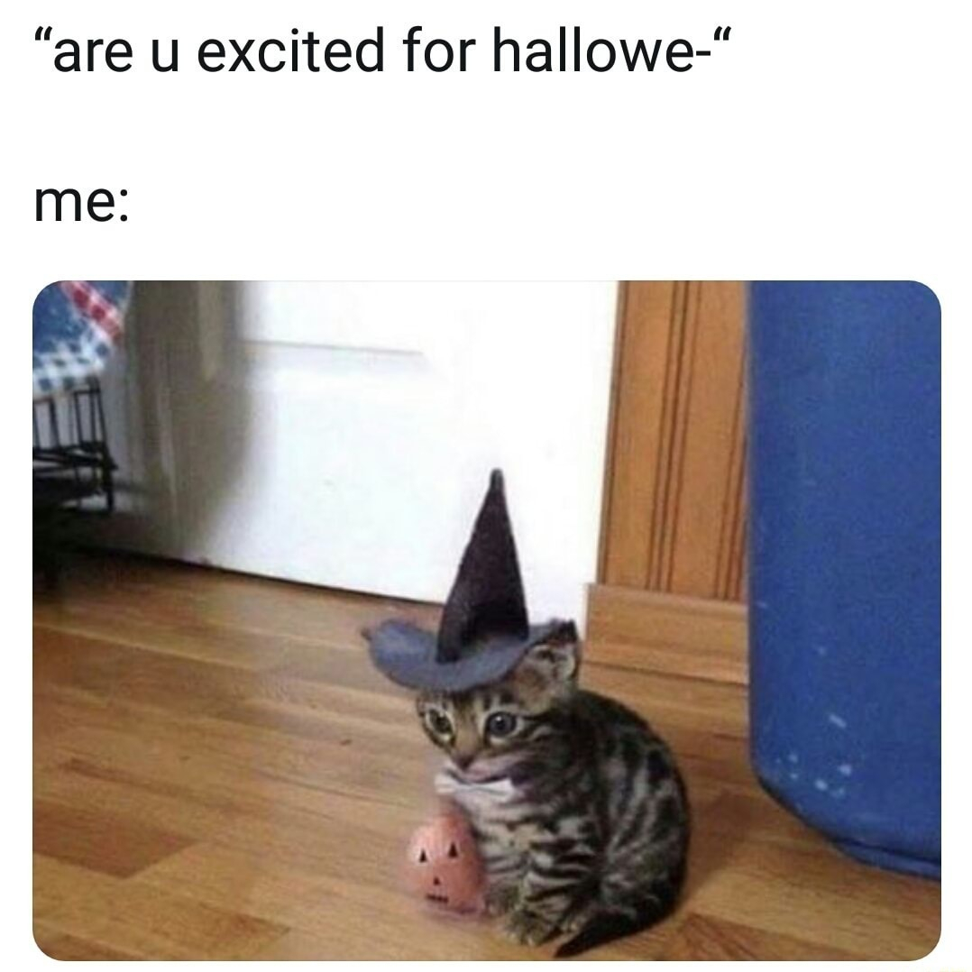 are u excited for hallowe me