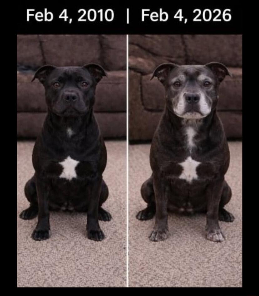 Feb 4, 2010 | Feb 4, 2026