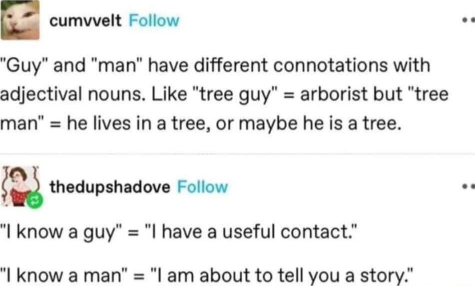 cumvvelt Follow Guy and man have different connotations with adjectival nouns Like tree guy arborist but tree man he lives in a tree or maybe he is a tree m thedupshadove Follow l know a guy I have a useful contact know a man am about to tell you a story