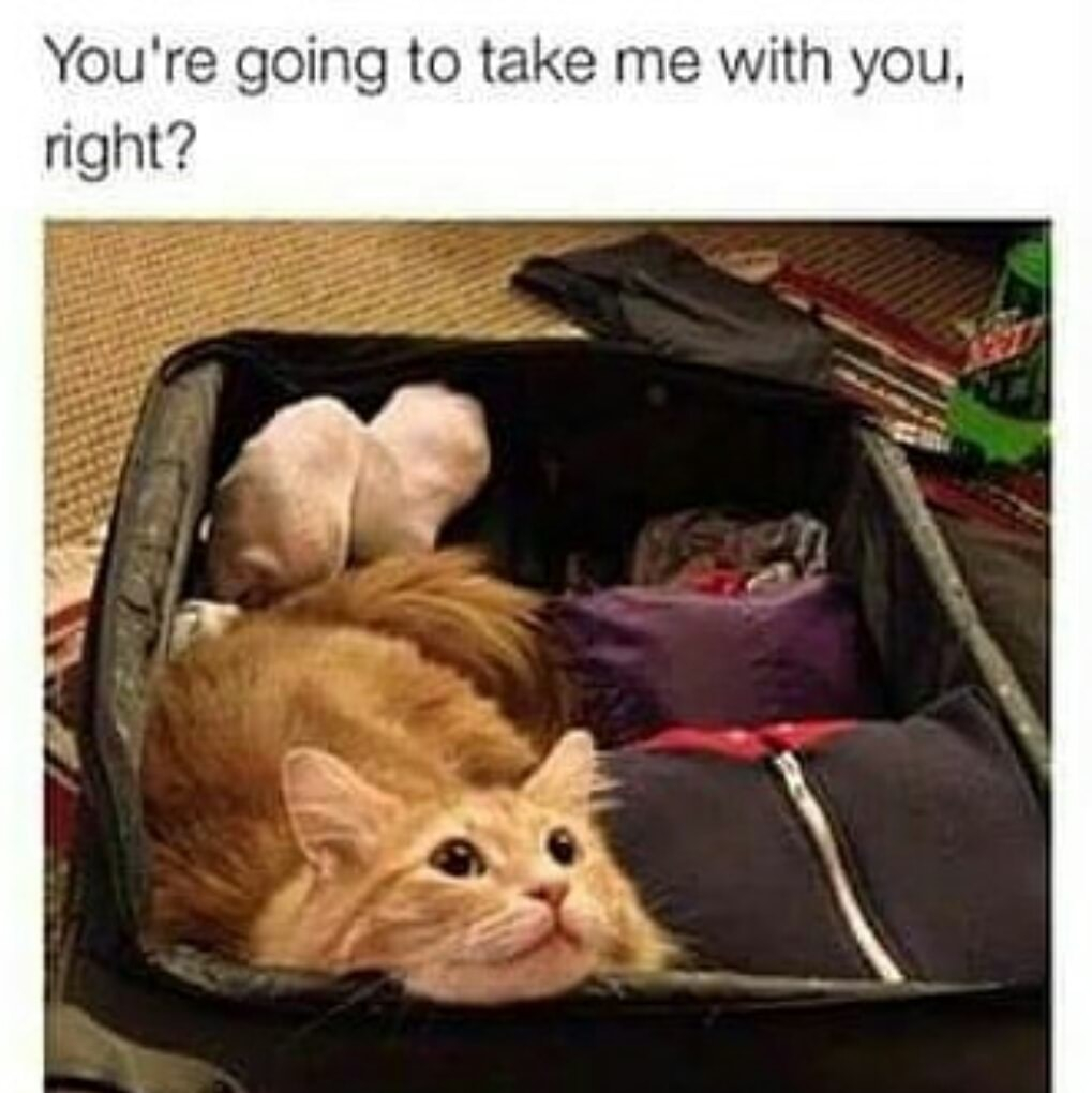 Youre going to take me with you right