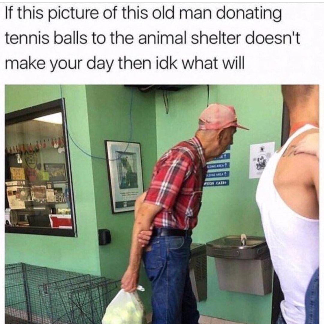 If this picture of this old man donating tennis balls to the animal shelter doesnt make your day then idk what will