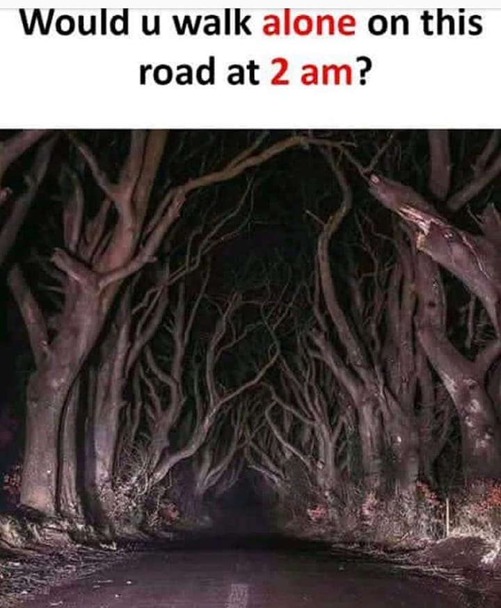 Would u walk alone on this road at 2 am S