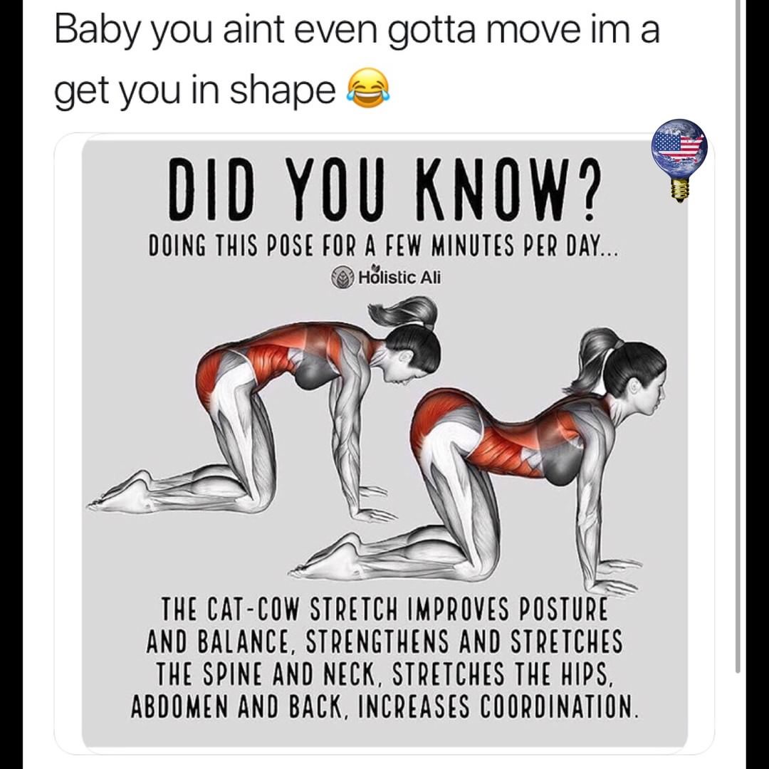Baby you aint even gotta move im a get you in shape DID YOU KNOW DOING THIS POSE FOR A FEW MINUTES PER DAY Hdiistic Ali THE CAT COW STRETCH IMPPVES PUSTURE AND BALANCE STRENGTHENS AND STRETCHES THE SPINE AND NECK STRETCHES THE HIPS ABDOMEN AND BACK INCREASES COORDINATION