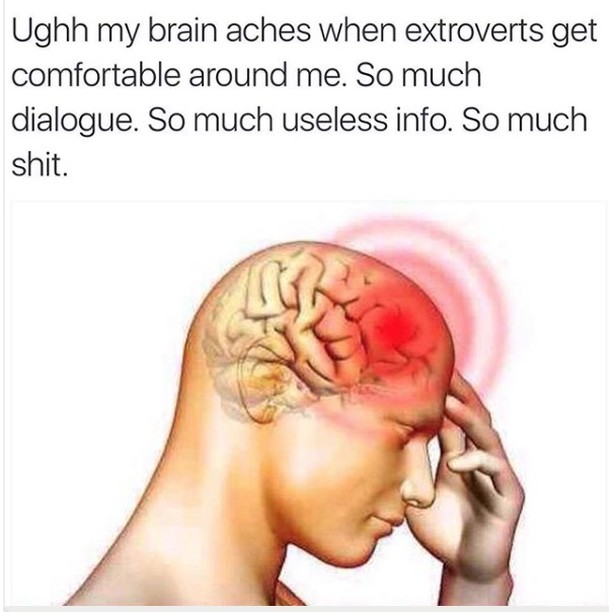 Ughh my brain aches when extroverts get comfortable around me So much dialogue So much useless info So much shit