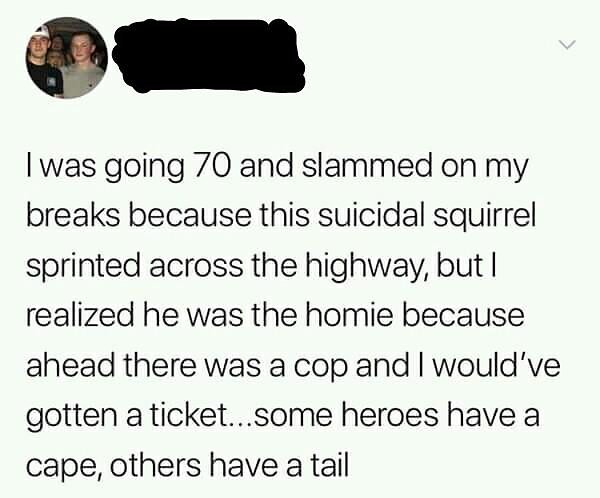 was going 70 and slammed on my breaks because this suicidal squirrel sprinted across the highway but realized he was the homie because ahead there was a cop and wouldve gotten aticketsome heroes have a cape others have a tail