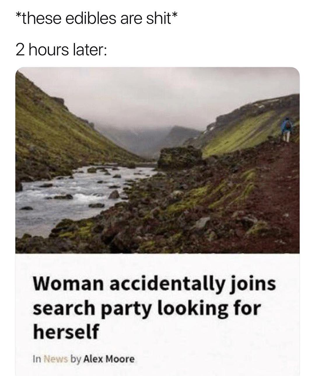these edibles are shit 2 hours later Woman accidentally joins search party looking for herself In fNews by Alex Moore