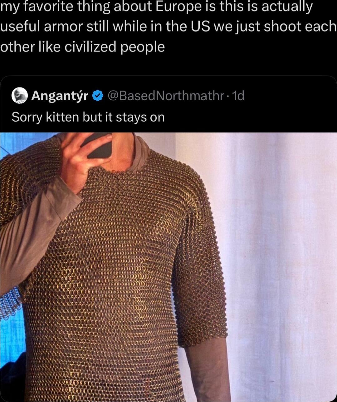 my favorite thing about Europe is this is actually useful armor still while in the US we just shoot each other like civilized people

Angantyr @BasedNorthmathr - 1d
Sorry kitten but it stays on