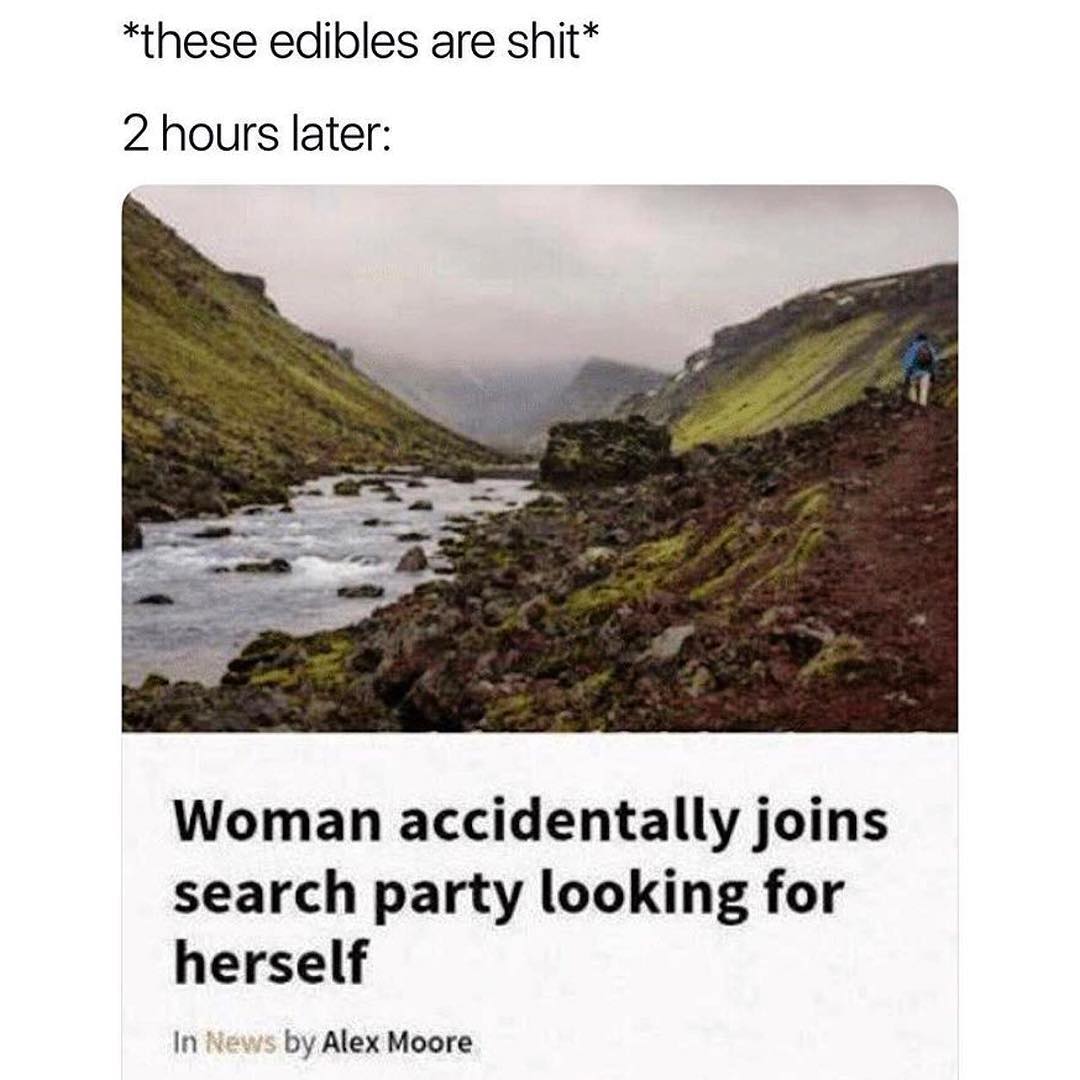 these edibles are shit 2 hours later Woman accidentally joins search party looking for herself In Hews by Alex Moore
