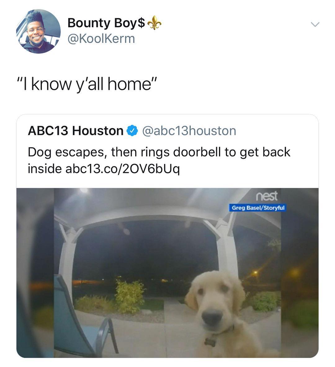 7 Bounty B 7 ks X J I know yall home ABC13 Houston abc13houston Dog escapes then rings doorbell to get back inside abc13co20V6bUq