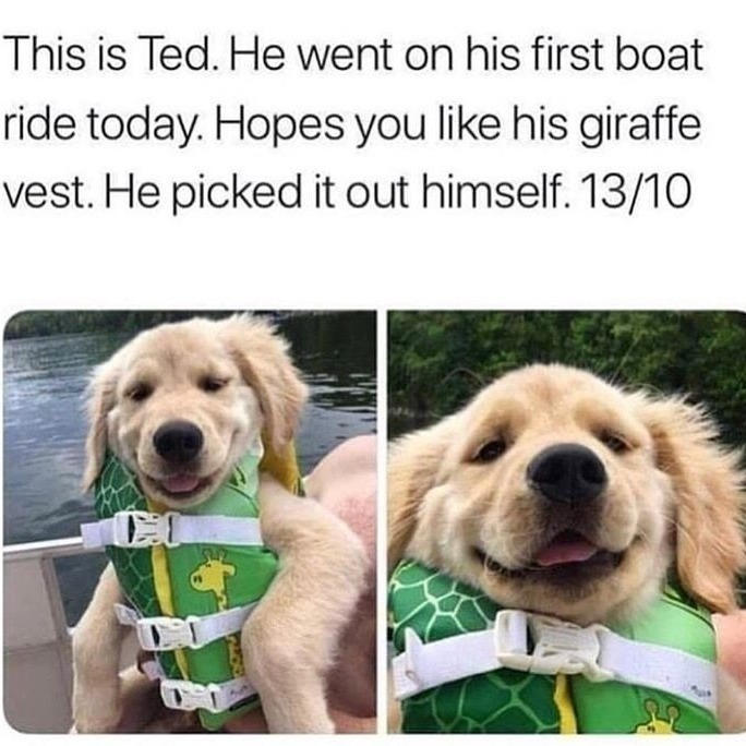 This is Ted He went on his first boat ride today Hopes you like his giraffe vest He picked it out himself1310