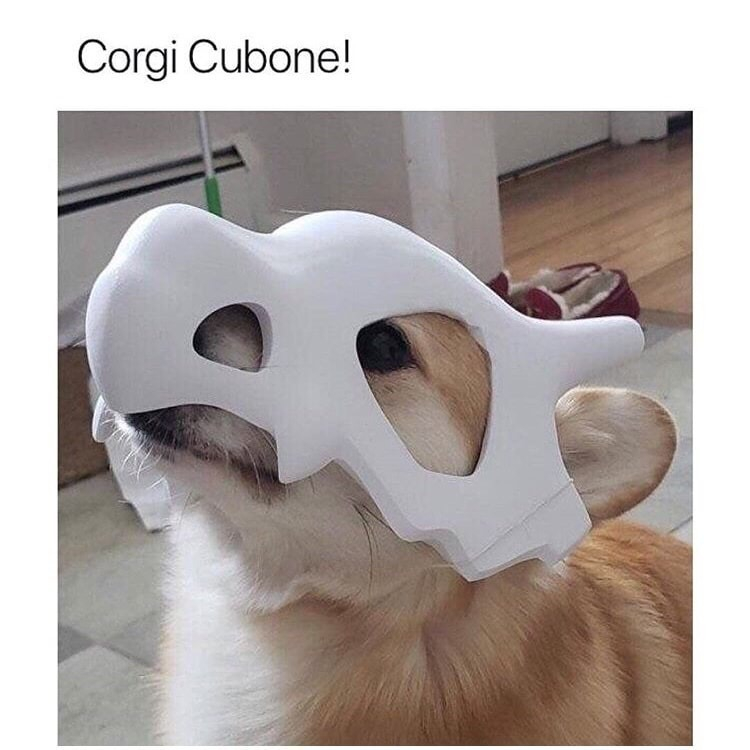Corgi Cubone