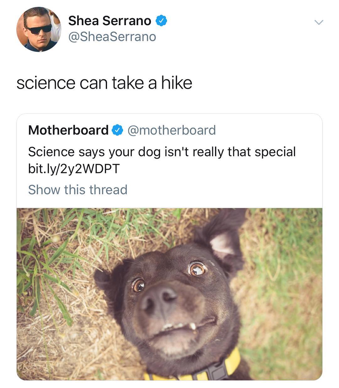 i Shea Serrano v Q 2 SheaSerrano science can take a hike Motherboard motherboard Science says your dog isnt really that special bitly2y2WDPT Show this thread