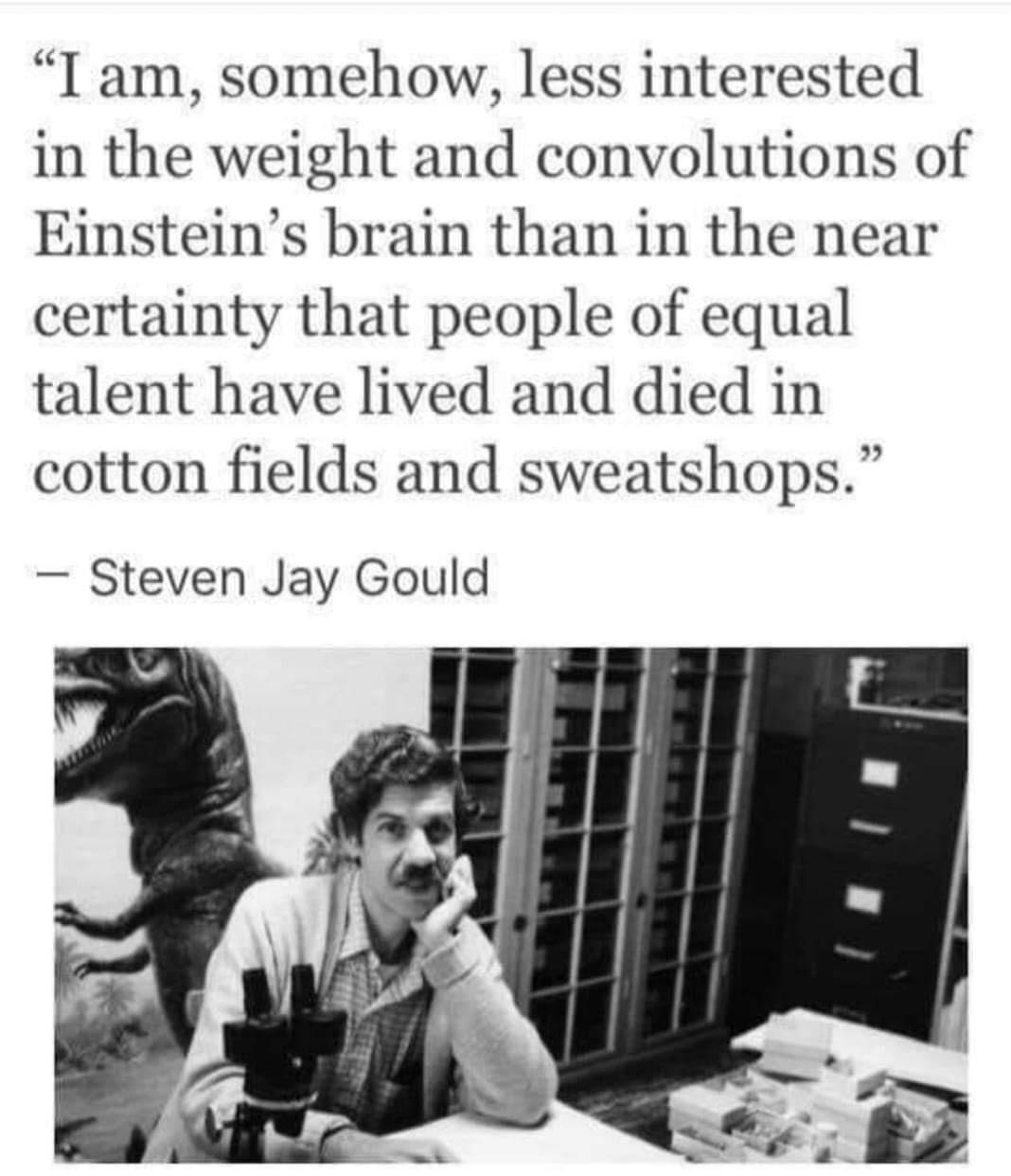 I am somehow less interested in the weight and convolutions of Einsteins brain than in the near certainty that people of equal talent have lived and died in cotton fields and sweatshops Steven Jay Gould