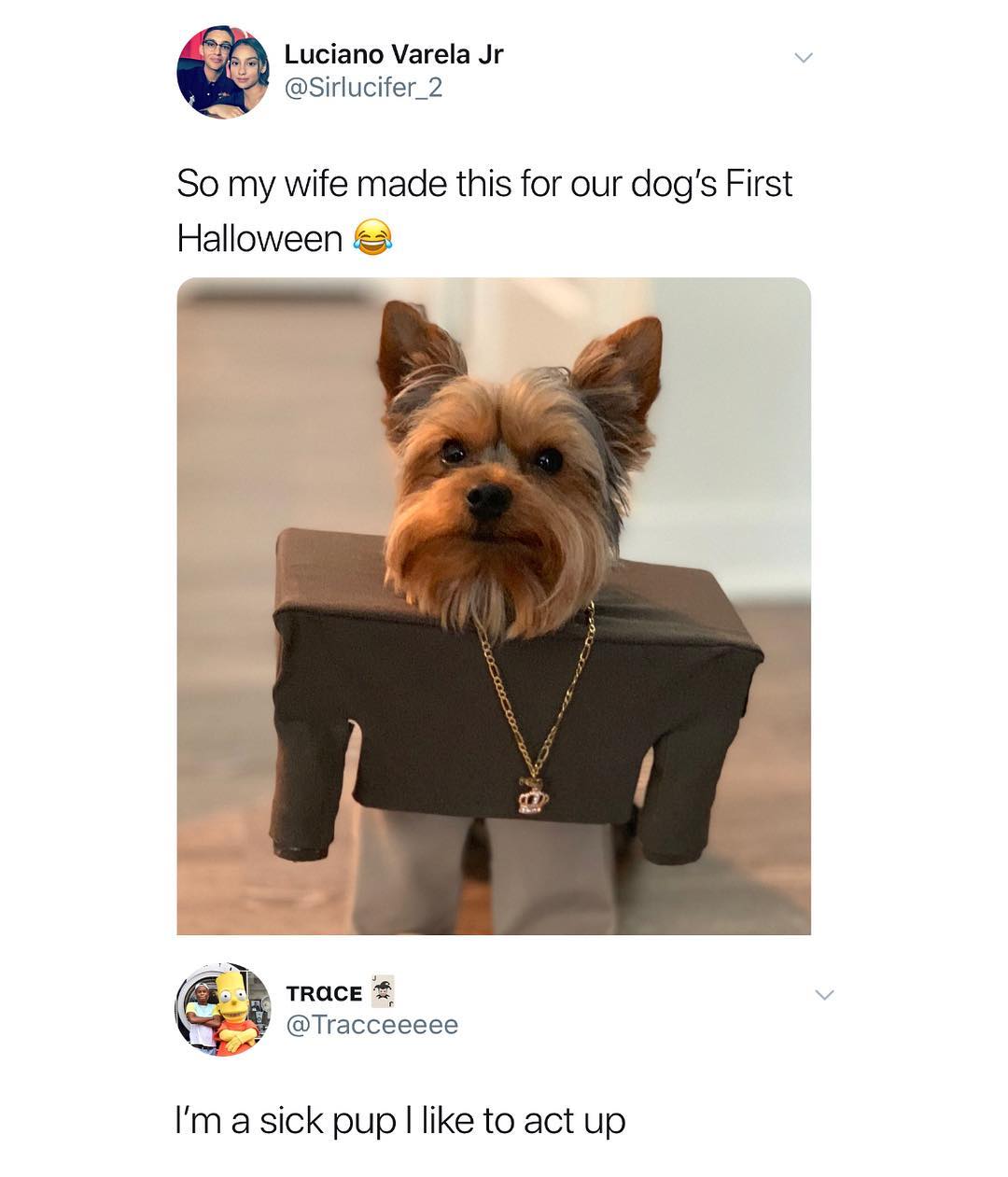L7 Luciano Varela Jr Sirlucifer_2 So my wife made this for our dogs First Halloween 1 TRUCE P Tracceeeee Im a sick pup like to act up