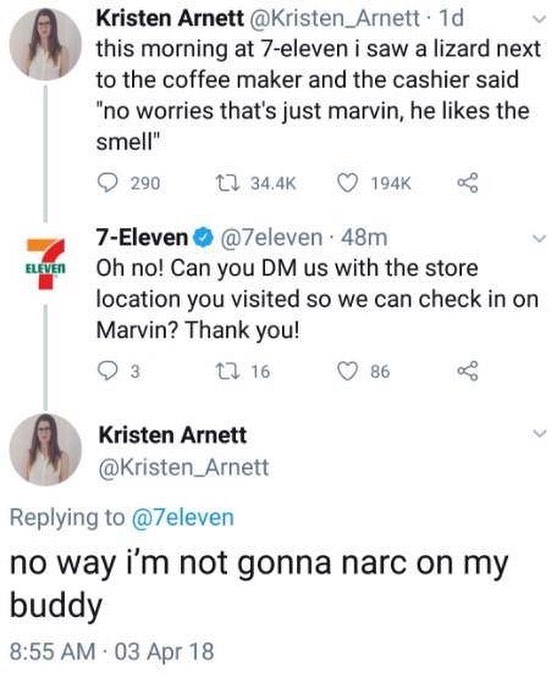 A Kristen Arnett Kristen_Arnett 1d this morning at 7 eleven i saw a lizard next to the coffee maker and the cashier said no worries thats just marvin he likes the smell Q 290 1 344K Q 194k o 7 Eleven 7eleven 48m Oh no Can you DM us with the store location you visited so we can check in on Marvin Thank you Q3 0 16 Q 86 3 Kristen Arnett Kristen_Arnett Replying to 7eleven no way im not gonna narc on 
