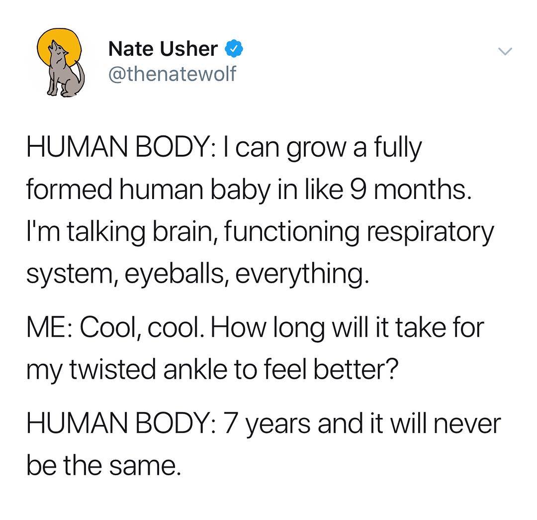 Nate Usher thenatewolf HUMAN BODY can grow a fully formed human baby in like 9 months Im talking brain functioning respiratory system eyeballs everything ME Cool cool How long will it take for my twisted ankle to feel better HUMAN BODY 7 years and it will never be the same