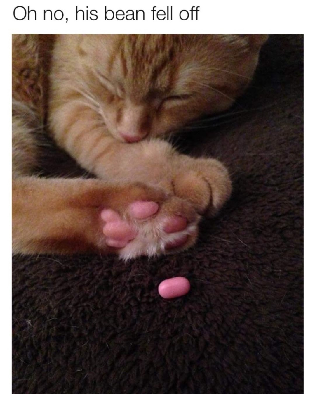 Oh no his bean fell off
