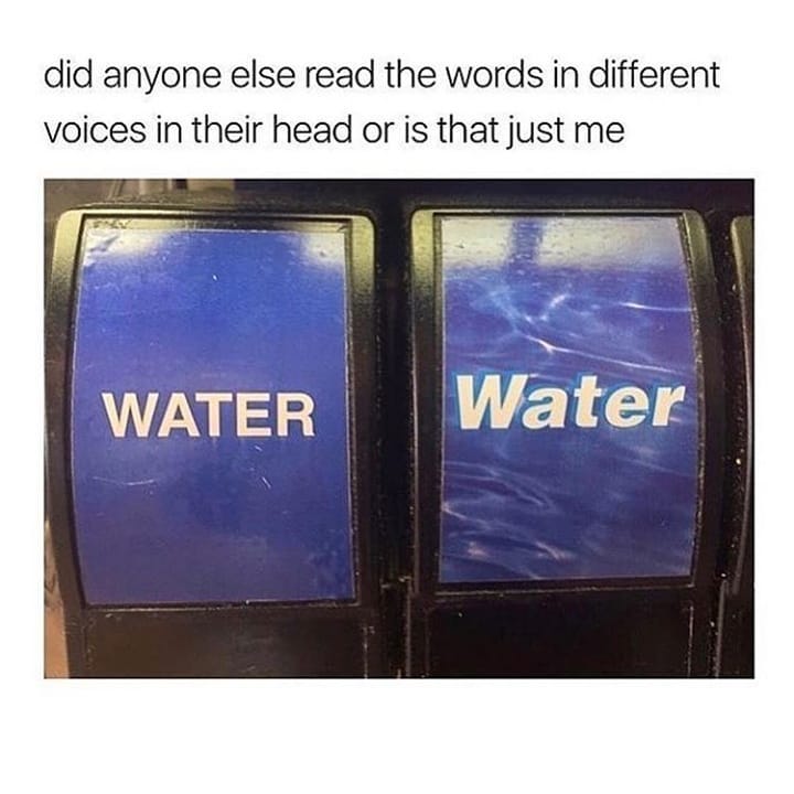 did anyone else read the words in different voices in their head or is that just me