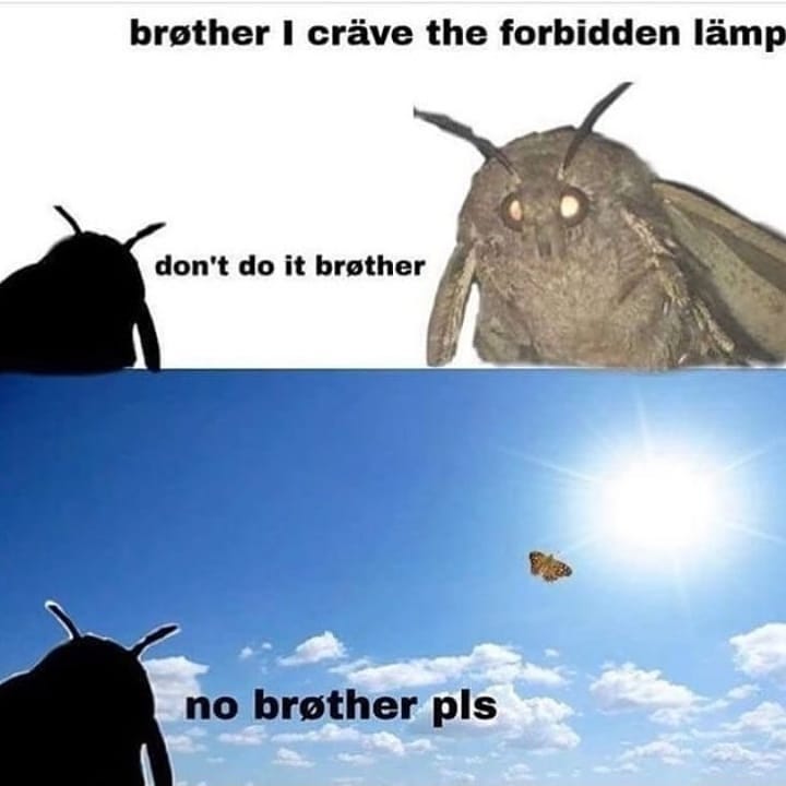 brother 1 crave the forbidden lamp dont do it brother j no brother pls