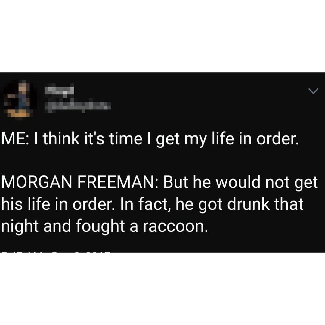 ME think its time get my life in order VO13TAN W l 211V V2N N B 2101 l g TRYo10 e W Lol Ao 1 TR R ARl o 1M oW To3 Ml s TWo o Ao Va G s 1 night and fought a raccoon