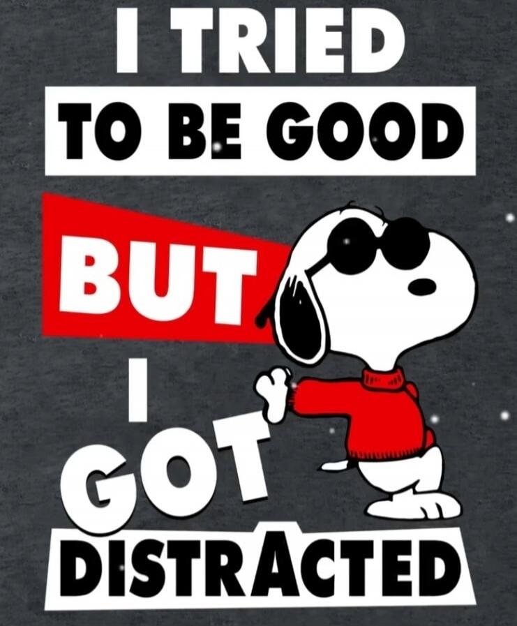 I TRIED TO BE GOOD BUT I GOT DISTRACTED