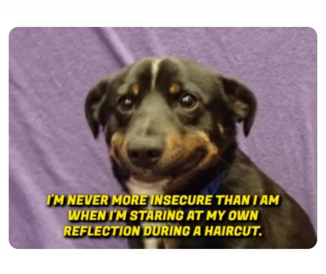 I'M NEVER MORE INSECURE THAN I AM WHEN I'M STARING AT MY OWN REFLECTION DURING A HAIRCUT.
