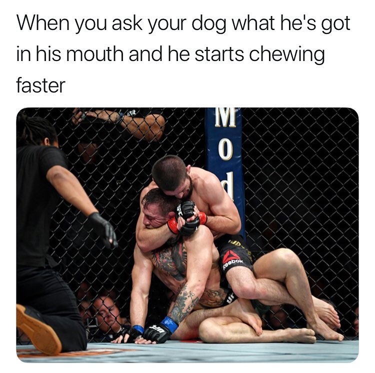 When you ask your dog what hes got in his mouth and he starts chewing faster