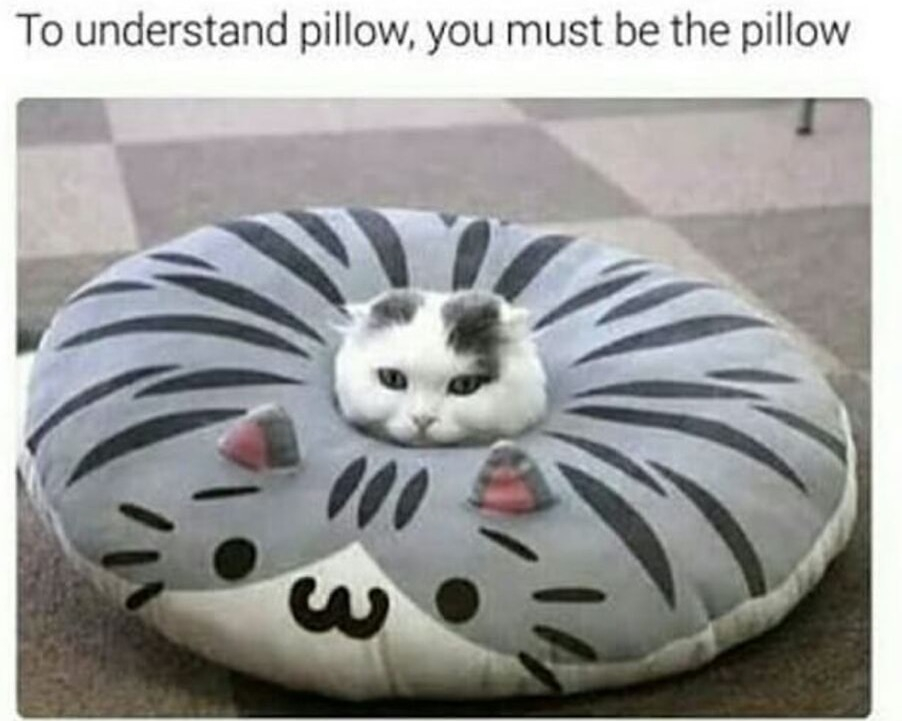 To understand pillow you must be the pillow