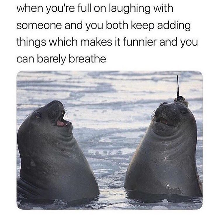 when youre full on laughing with someone and you both keep adding things which makes it funnier and you can barely breathe e