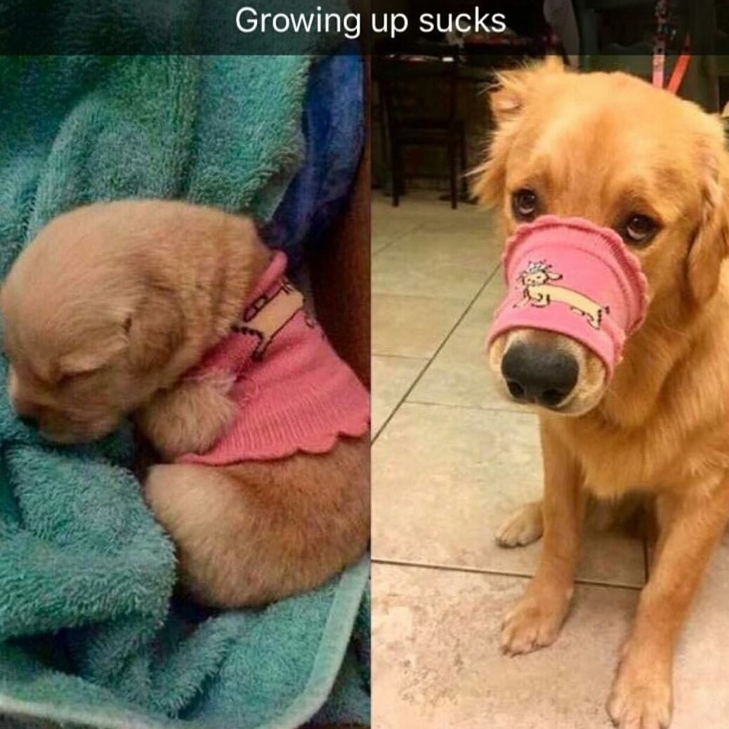 Growing up sucks
