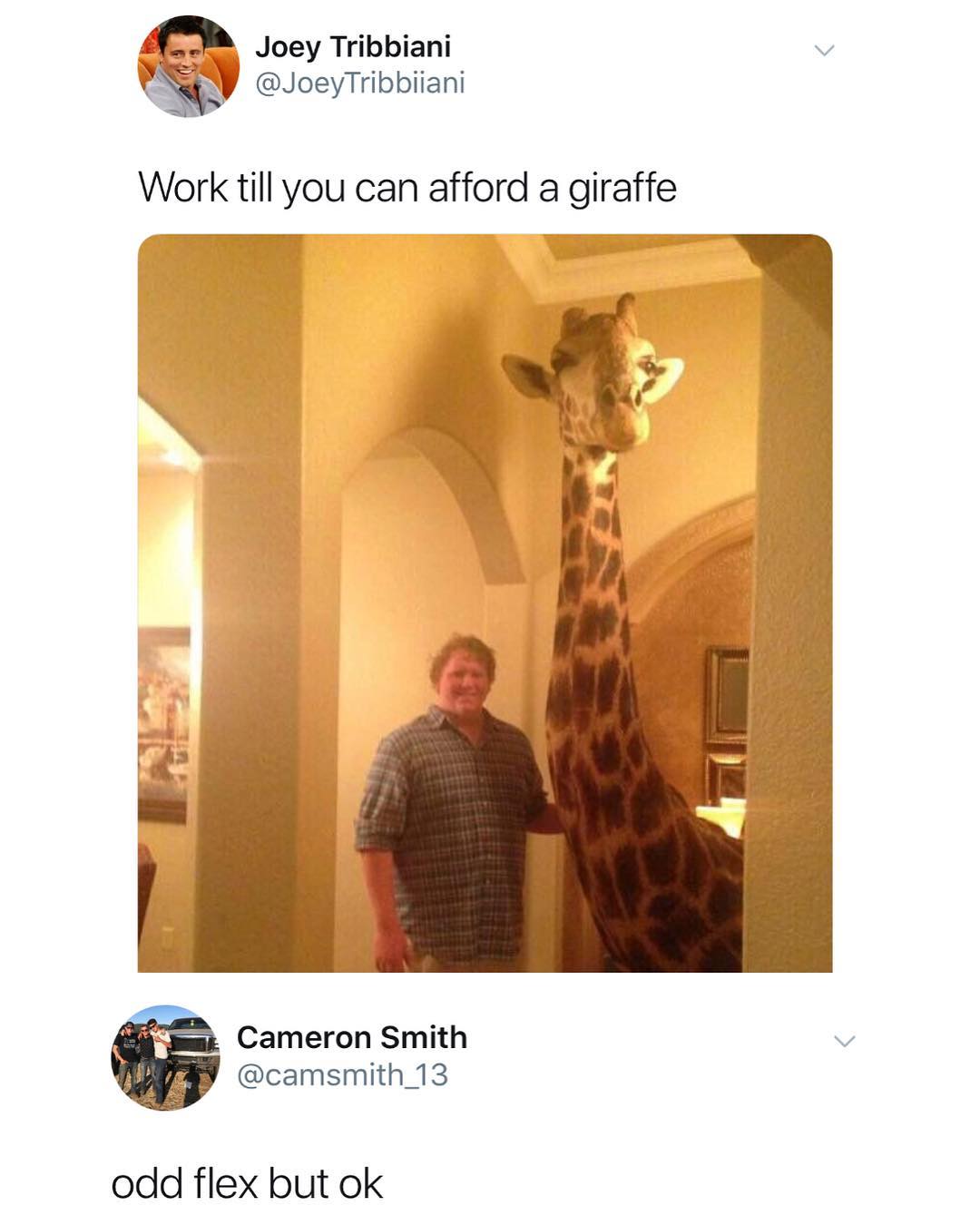L Joey Tribbiani v JoeyTribbiiani Work till you can afford a giraffe Cameron Smith v camsmith_13 odd flex but ok