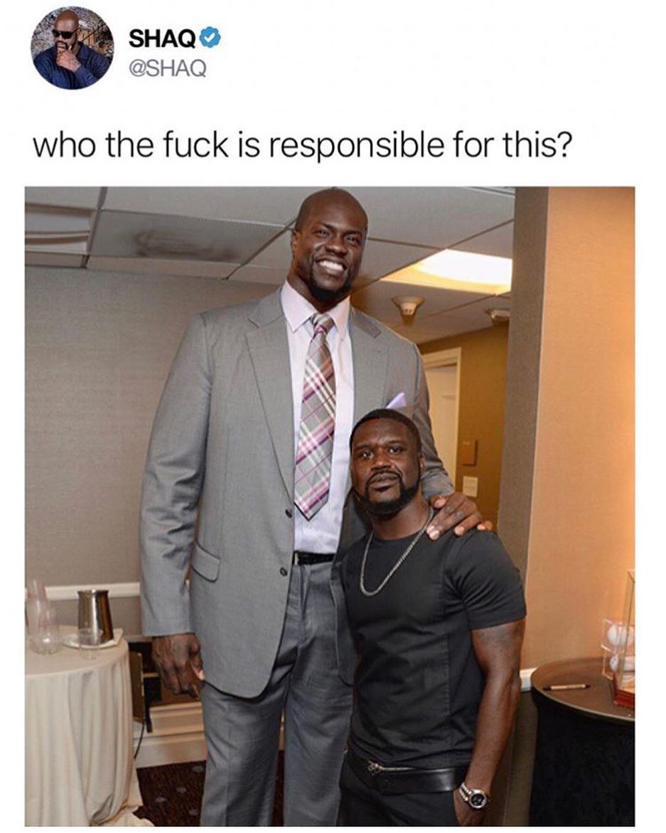 SHAQ SHAQ who the fuck is responsible for this