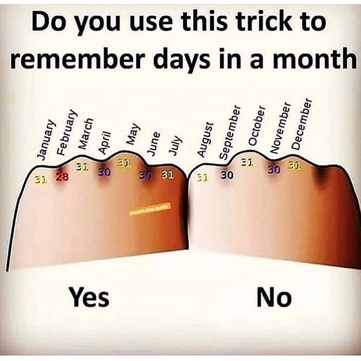 Do you use this trick to remember days in a month No Yes