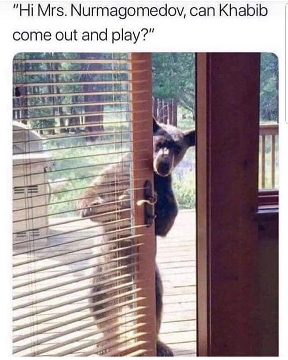 Hi Mrs Nurmagomedov can Khabib come out and play