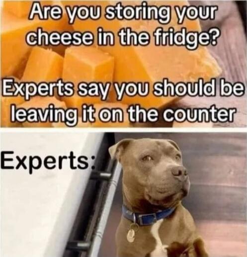 Are you storing your cheese in the fridge? Experts say you should be leaving it on the counter\n\nExperts: