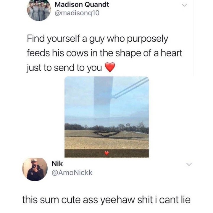 Madison Quandt v madisonq10 Find yourself a guy who purposely feeds his cows in the shape of a heart just to send to you Nik v AmoNickk this sum cute ass yeehaw shit i cant lie