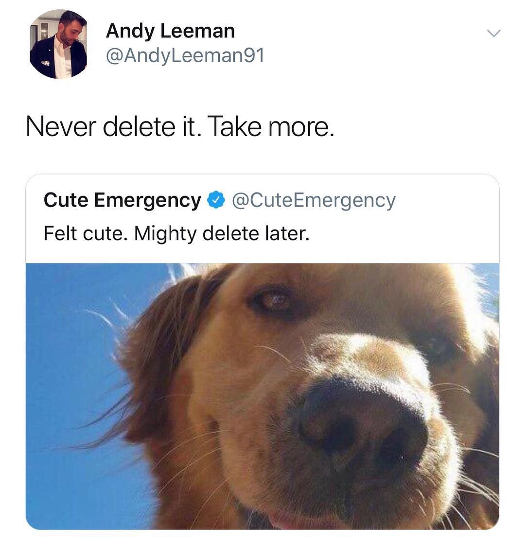 F Andy Leeman AndyLeeman91 Never delete it Take more Cute Emergency CuteEmergency Felt cute Mighty delete later