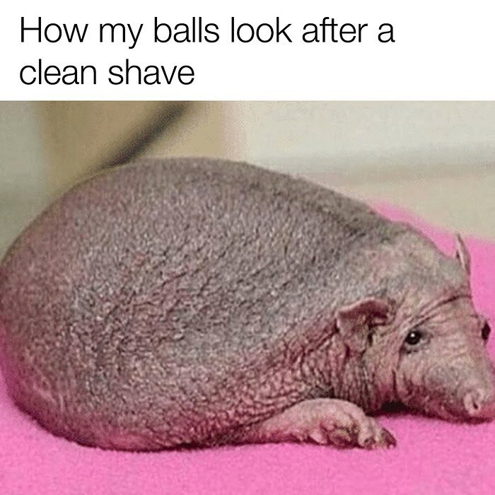 How my balls look after a clean shave