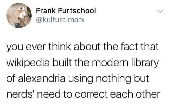 Frank Furtschool kulturalmarx you ever think about the fact that wikipedia built the modern library of alexandria using nothing but nerds need to correct each other