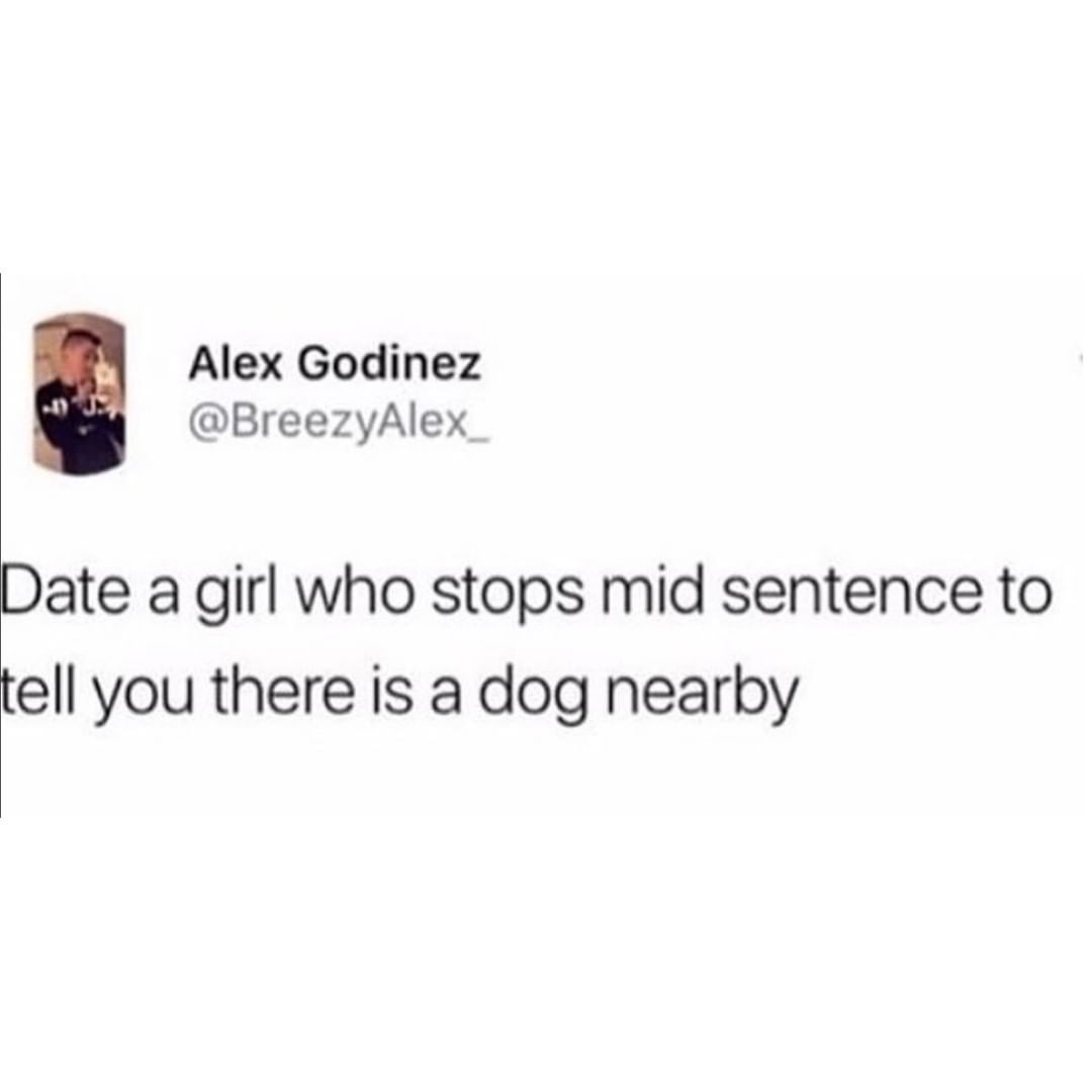 Y Alex Godinez o BreezyAlex Date a girl who stops mid sentence to tell you there is a dog nearby