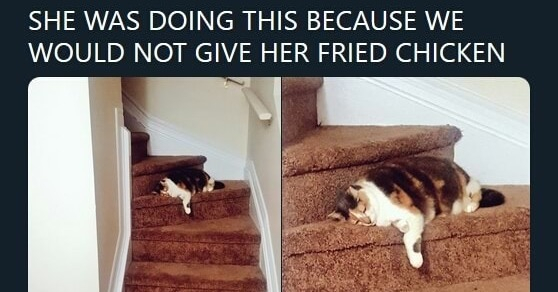 SHE WAS DOING THIS BECAUSE WE WOULD NOT GIVE HER FRIED CHICKEN