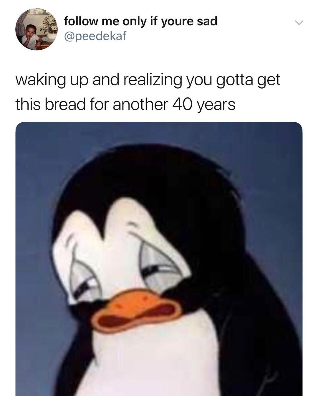 35 follow me only if youre sad R L peedekaf waking up and realizing you gotta get this bread for another 40 years