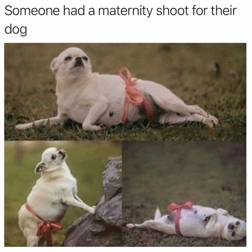 Someone had a maternity shoot for their