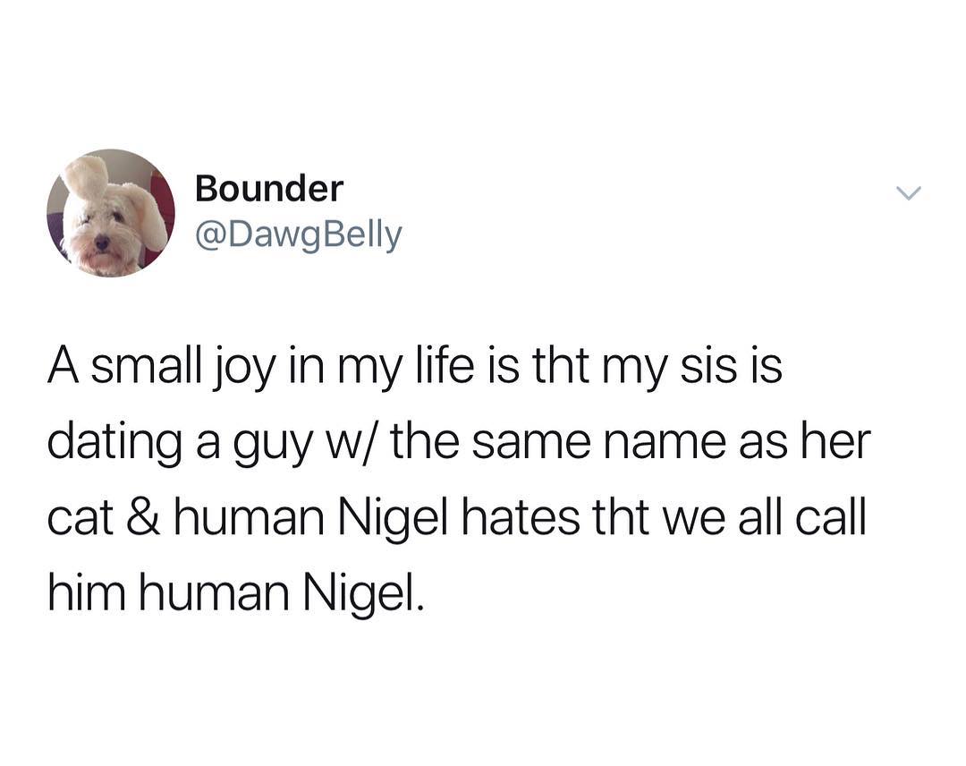 Bounder _ DawgBelly A small joy in my life is tht my sis is dating a guy w the same name as her cat human Nigel hates tht we all call him human Nigel