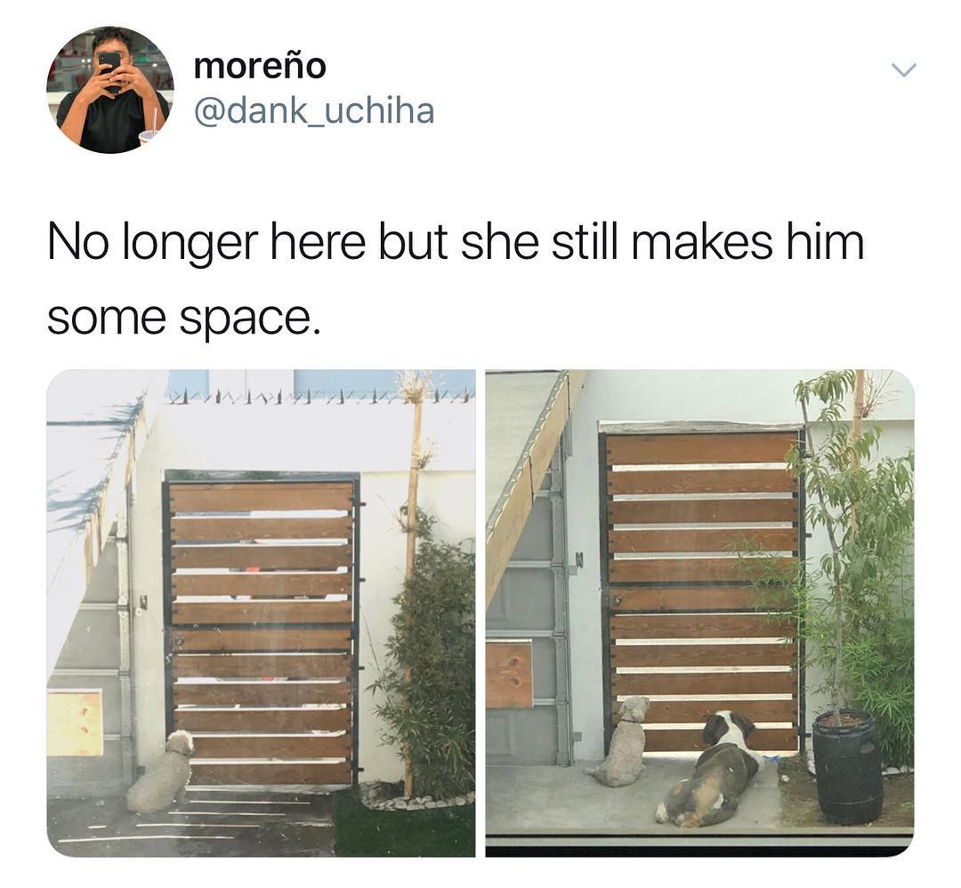 moreio v dank_uchiha No longer here but she still makes him some space AN A Ll Ar ARV A