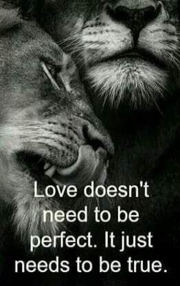 Love doesn't need to be perfect. It just needs to be true.