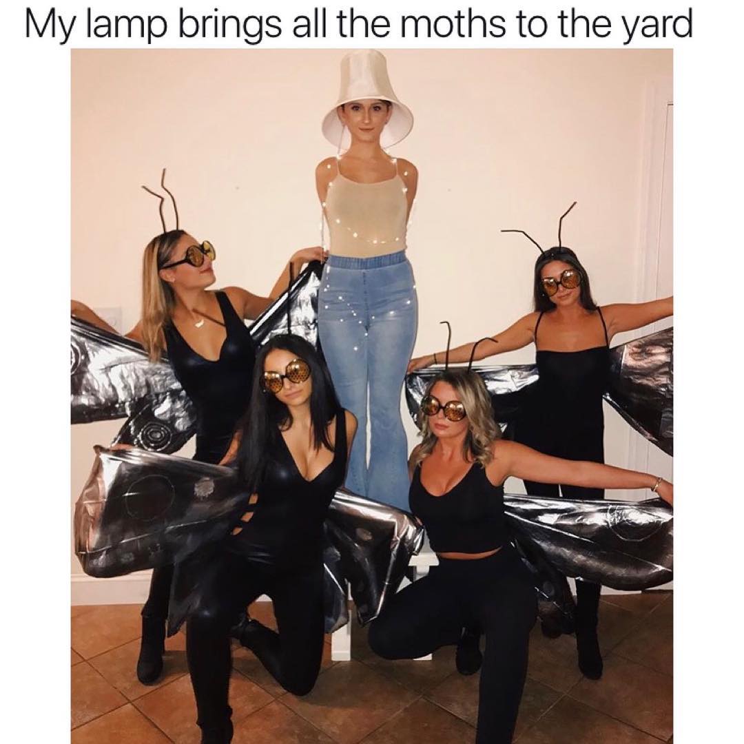 My lamp brings all the moths to the yard A 7