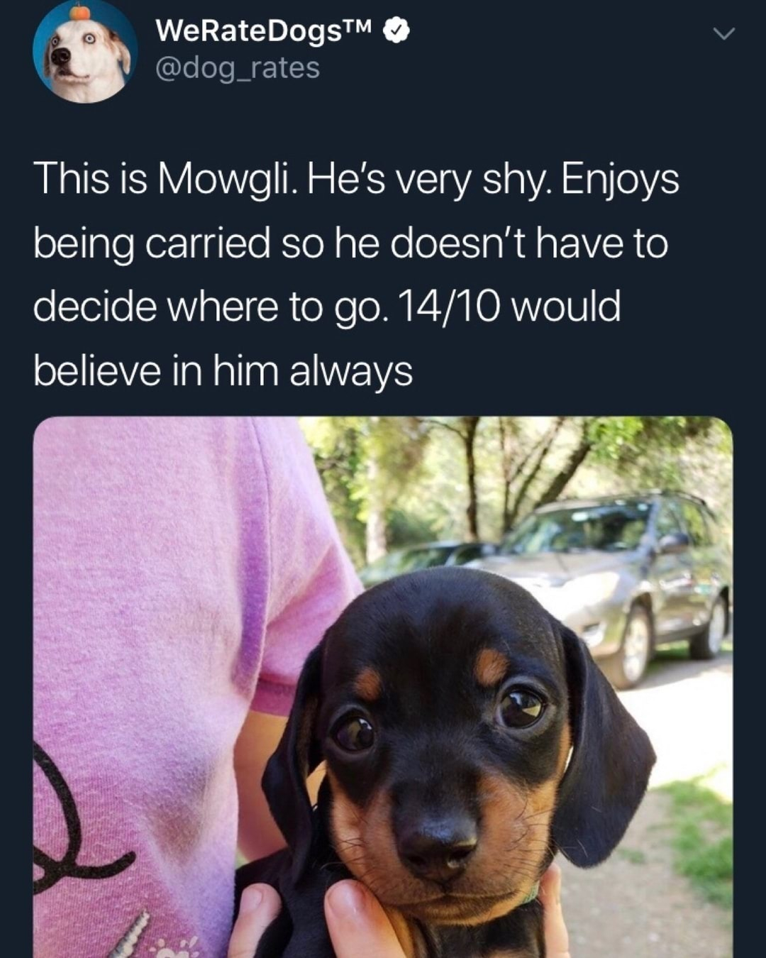 WEEY G LR QeI M I RLASEERY Y o N o SXSAVE VA o VA g0V being carried so he doesnt have to oTeiloSANYialIR o X e oMM P4 YA IORVYeIlo believe in him always