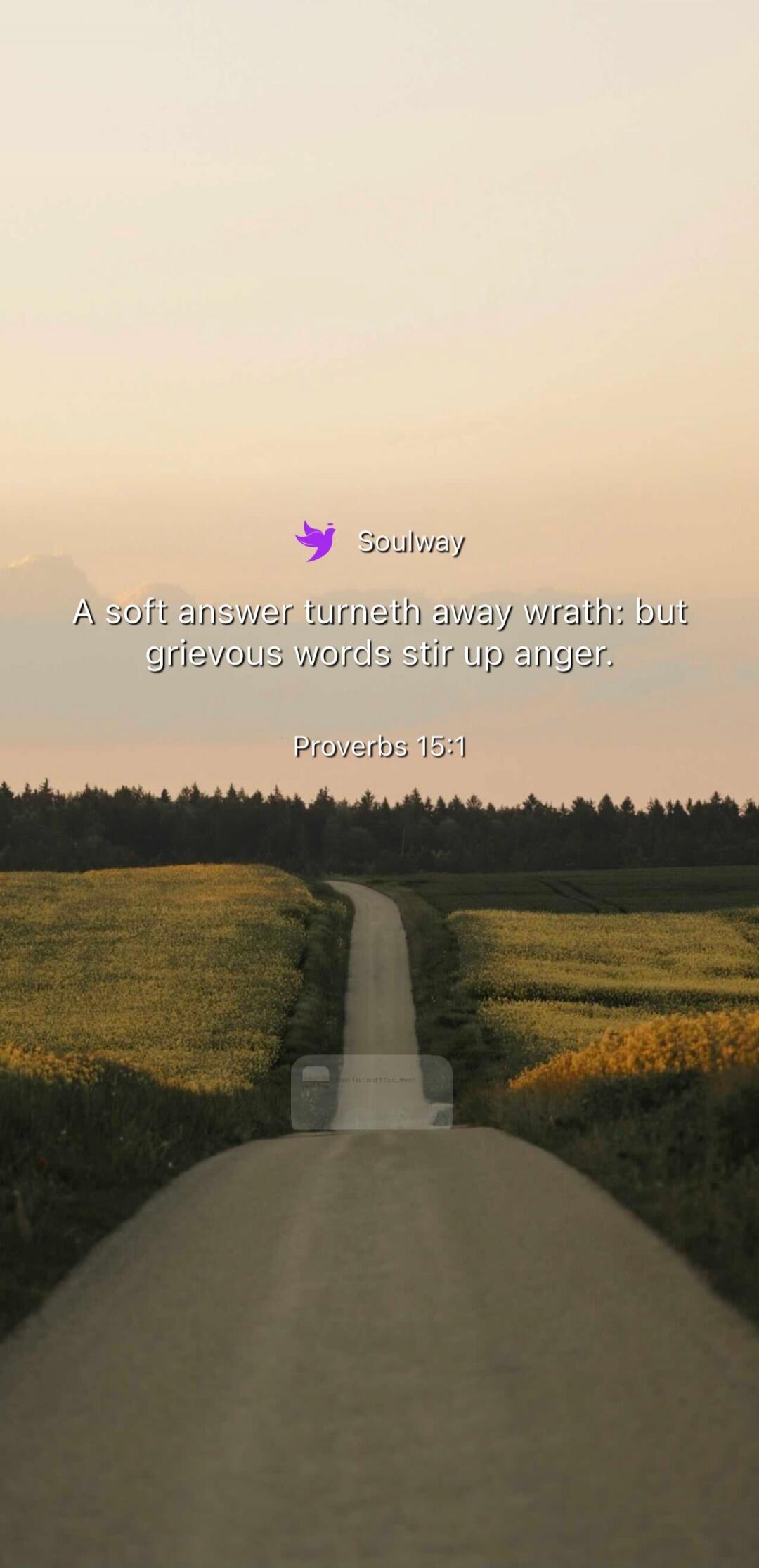 Soulway A soft answer turneth away wrath; but grievous words stir up anger. Proverbs 15:1